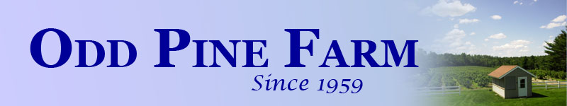 Odd Pine Farm banner